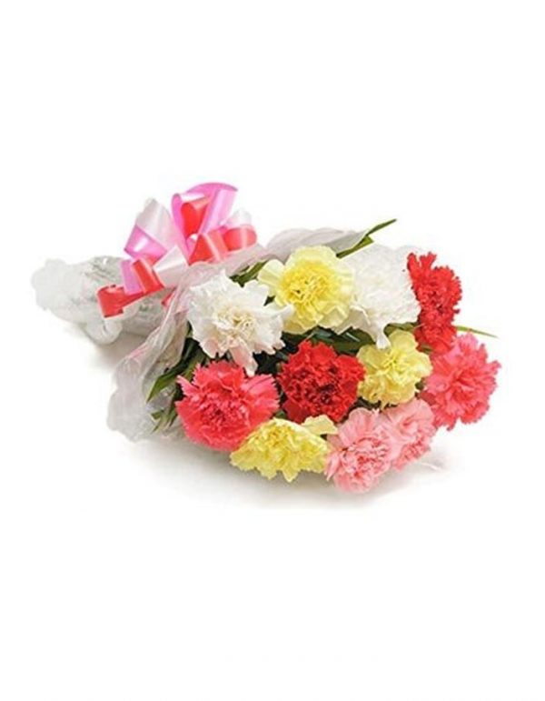 BUNCH OF MIX CARNATIONS